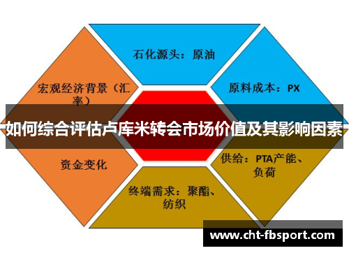 如何综合评估卢库米转会市场价值及其影响因素