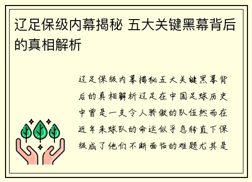 辽足保级内幕揭秘 五大关键黑幕背后的真相解析